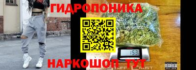 альфа пвп Новодвинск
