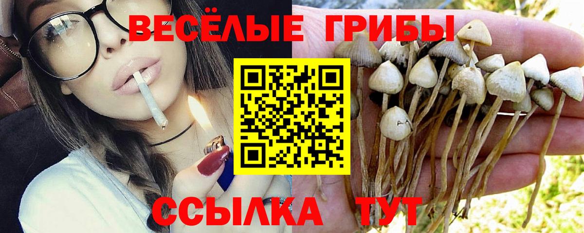 Галлюциногенные грибы Magic Shrooms  Вход с VPN  Улан-Удэ 